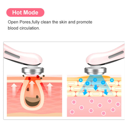 Masajeador LED Para La Cara Facial Rostro Rejuvenecimien