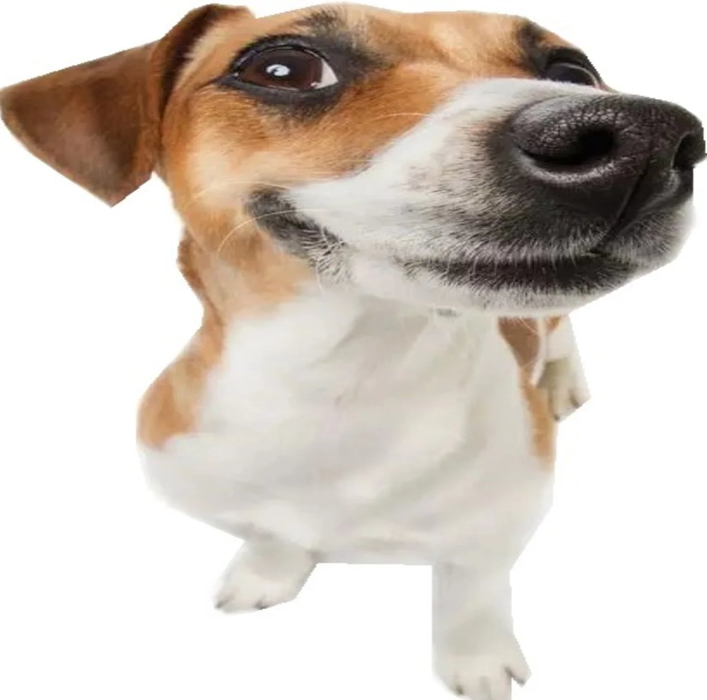 Firming Removal Device for Neck Face, Facial and Neck Massage Kit, Double Chin Reducer Vibration Massager for Skin Care,Improve, Firm, and Smooth, White